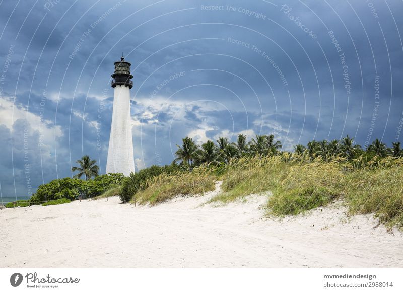 Lighthouse Key Biscayne Navigation Concern Miami Miami Beach Dune Weather Clouds Threat Colour photo Exterior shot