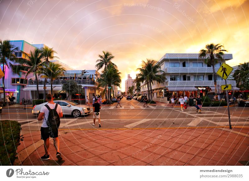 Miami Beach - Ocean Drive Human being Masculine Street Warmth Sunset USA Palm tree Restaurant Party Colour photo Exterior shot