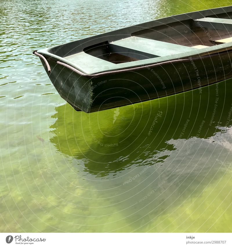 rowing boat Water Spring Summer Beautiful weather Pond Lake Boating trip Rowboat Simple Logistics Green undertone Old Colour photo Exterior shot Close-up Detail