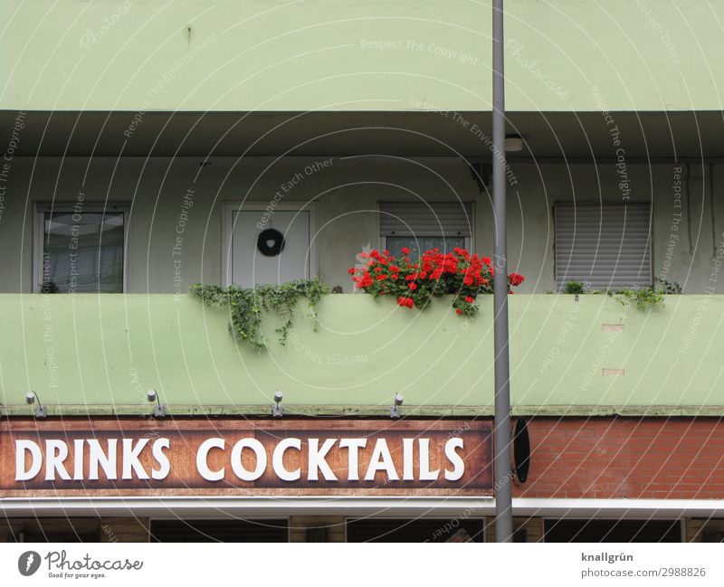 DRINKS COCKTAILS Foliage plant Geranium Ivy House (Residential Structure) Facade Balcony Window box Characters Signs and labeling Communicate Hideous Brown