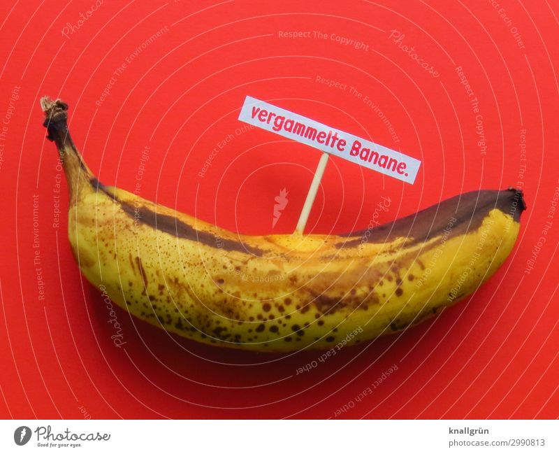 rotten banana. Food Fruit Banana Nutrition Organic produce Vegetarian diet Characters Signs and labeling Communicate Old Brown Yellow Red Emotions Squander