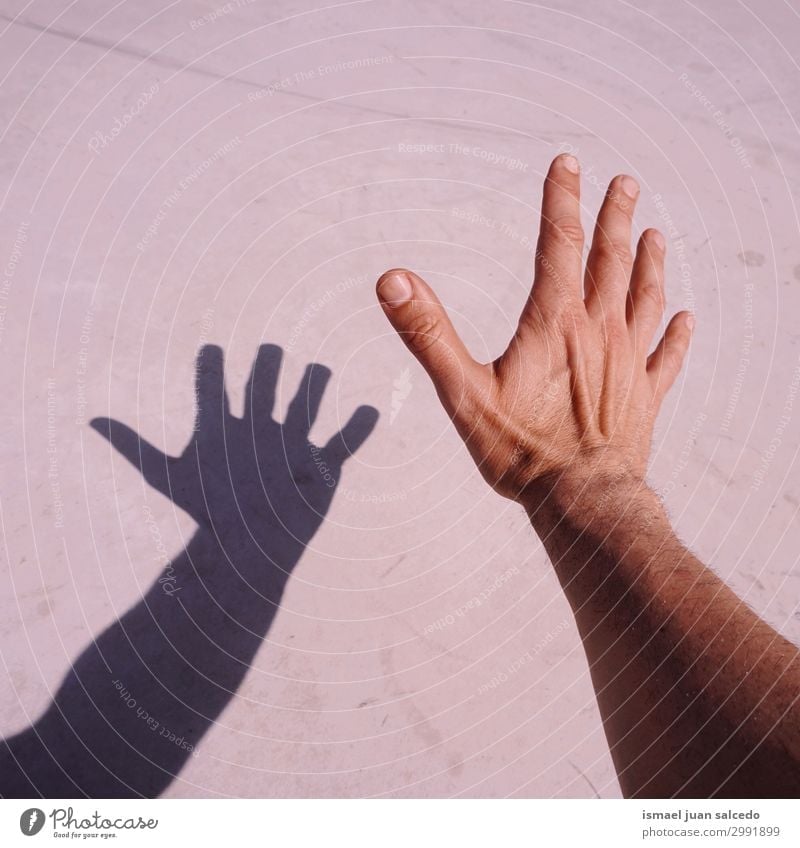 man hand shadow silhouette on the ground Hand Fingers Palm of the hand body part wrist Arm Skin Human being Shadow Light (Natural Phenomenon) Sunlight