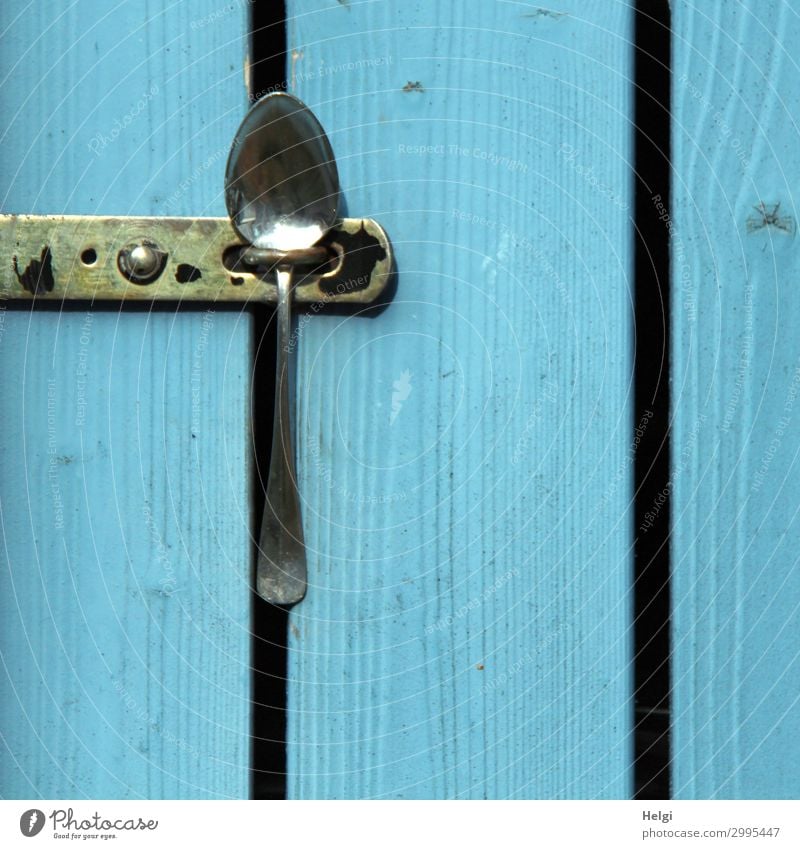 Detail of a wooden door made of blue painted boards, which is closed with a spoon Door Closure Spoon Wood Metal To hold on Exceptional Simple Uniqueness Blue
