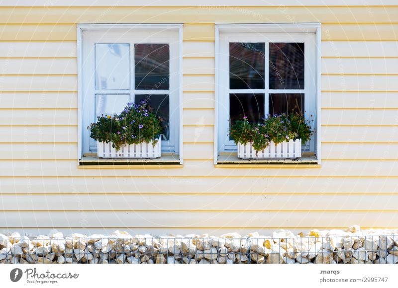 windows Living or residing Flat (apartment) House (Residential Structure) House building Moving (to change residence) Facade Window Bright Modern Yellow White
