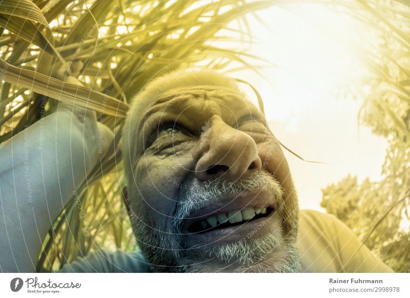 An elderly man seeks shade among plants in hot summer weather. Human being Man Adults Male senior Head 1 Environment Nature Plant Cloudless sky Sun Sunlight