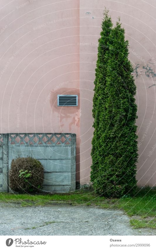 Unequal pair House (Residential Structure) Decoration Wall (barrier) Wall (building) Facade Concrete Gray Green Pink Gravel Box tree Thuja Difference In pairs