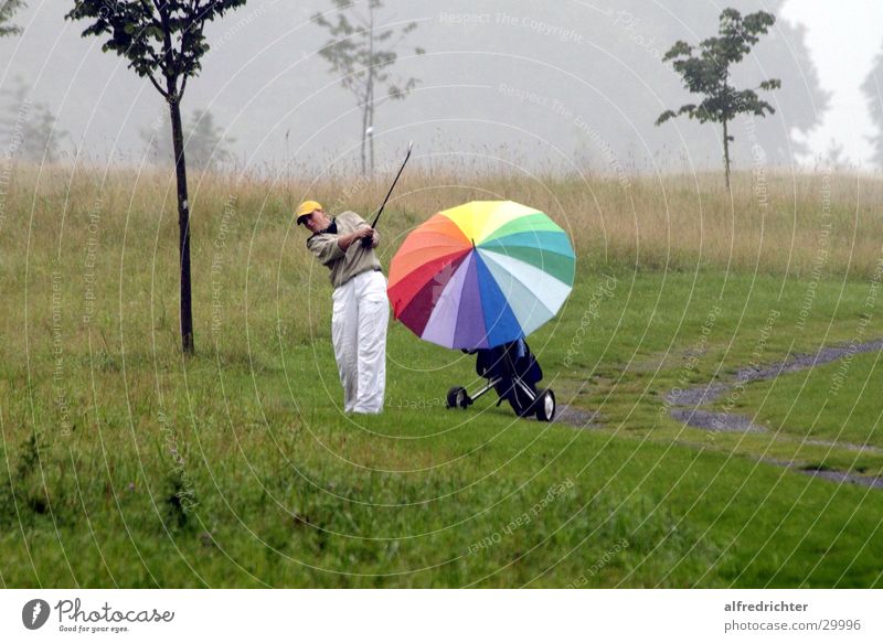 rain golf Tee off Golf competition Microchip Sports golfing drive golf ball putt putting Golf course pitch