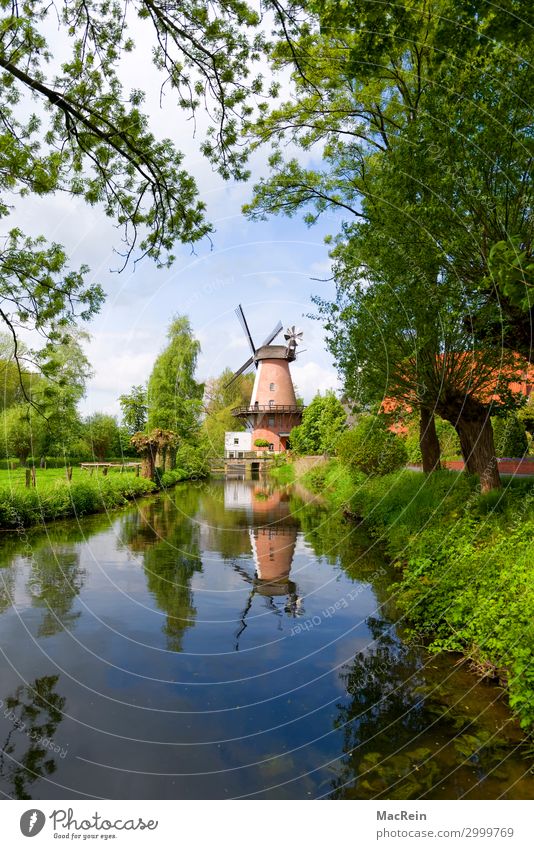 Water mill at a brook Environment Nature Landscape Plant Animal Spring Summer Manmade structures Architecture Identity Idyll Brook Building Pinwheel Blue Sky