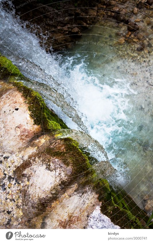 waterfall Elements Water Drops of water Summer River Waterfall To fall Glittering Authentic Fluid Fresh Natural Positive Wild Movement Climate Nature Pure