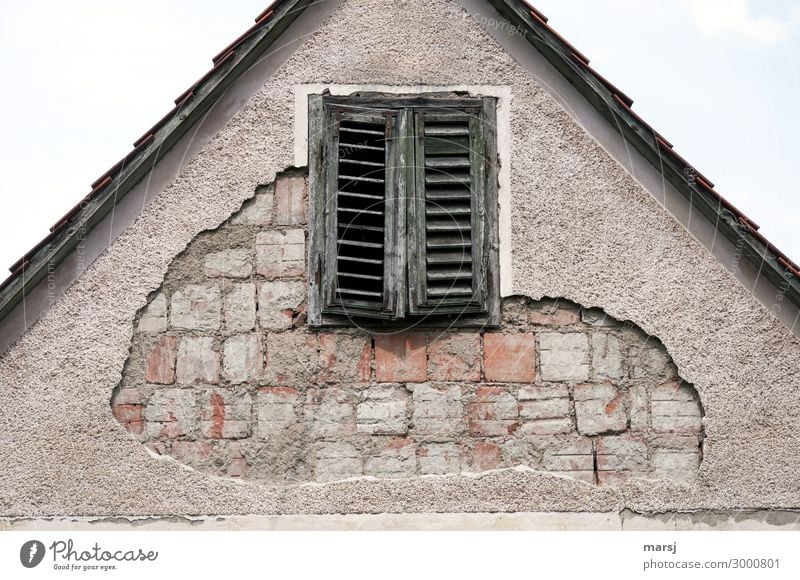 When the plaster peels off House (Residential Structure) Manmade structures Wall (barrier) Wall (building) Facade Window Shutter Brick Old Dark Creepy Cold