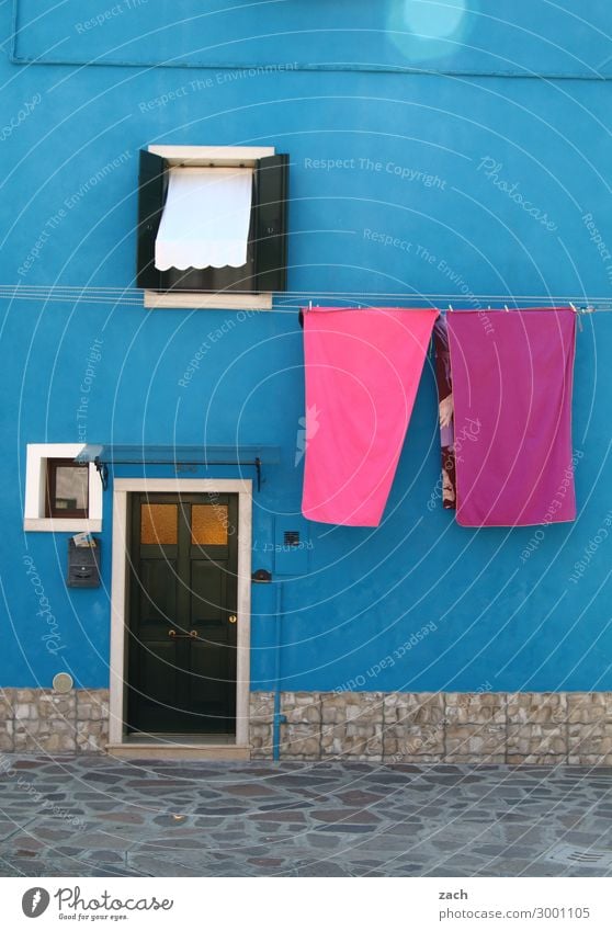 blue pink Living or residing House (Residential Structure) Venice Burano Italy Fishing village Old town Wall (barrier) Wall (building) Facade Window Door Wood