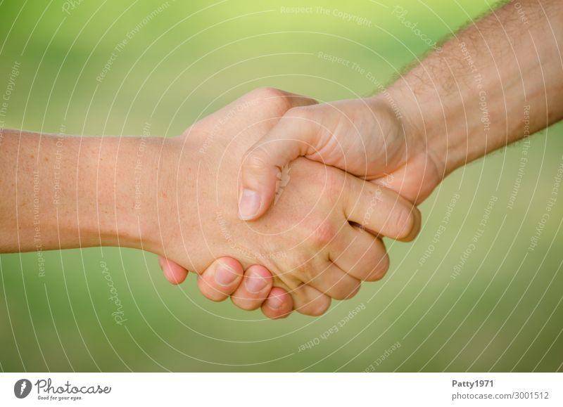 Two young men shake hands. Close up of the hands in front of a green background. Business Team Handshake Human being Masculine Young man Youth (Young adults)