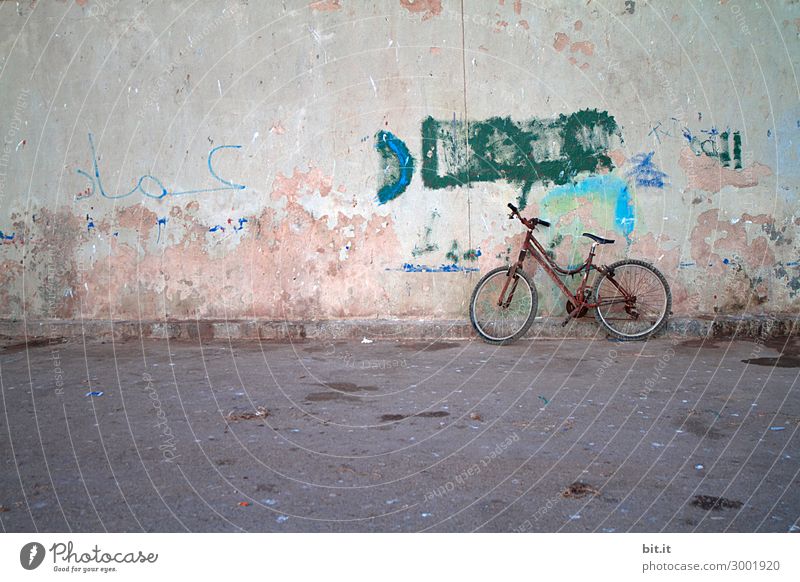 On the road again l old bicycle with rust, leaning against wall Vacation & Travel Tourism Trip Art Music Wall (barrier) Wall (building) Transport