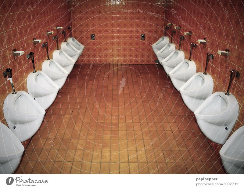 large toilet Living or residing Interior design pissuary Toilet Urinal Restaurant Bathroom Tile Stone Trashy Orange White men's lavatory Things Interior shot