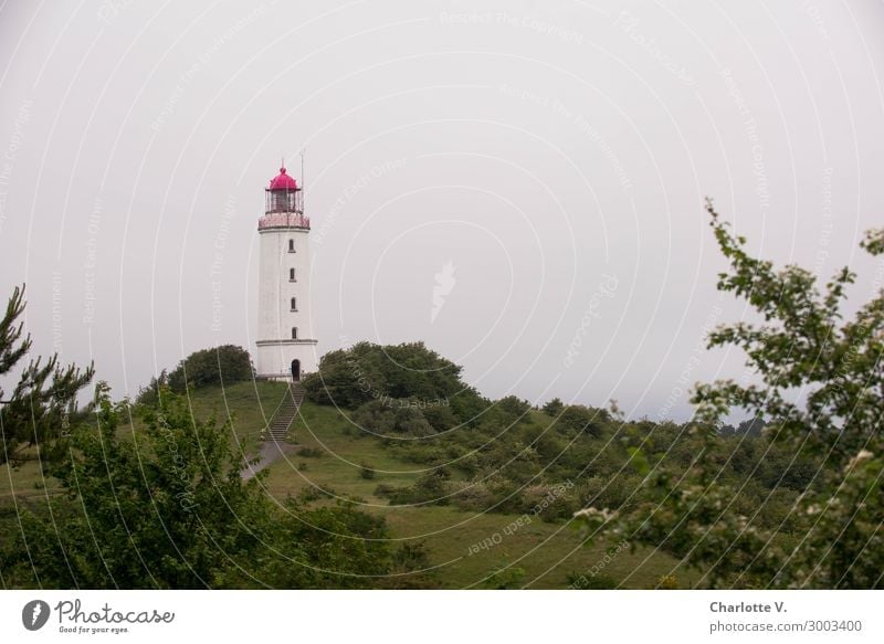 Isolation in an ivory tower Island Nature Landscape Summer Hill Coast Baltic Sea Hiddensee Tower Lighthouse Tourist Attraction Lighthouse Dornbusch/Hiddensee