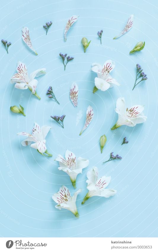 White flower pattern on light background Vector Image