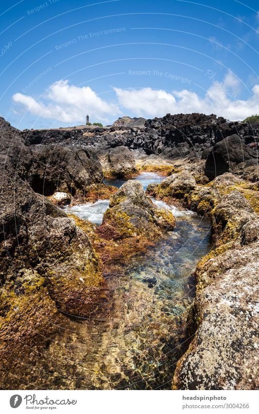 Volcanic coastal landscape of Faial with lighthouse, Azores Vacation & Travel Tourism Trip Summer Beach Ocean Waves Landscape Elements Water Volcano Coast Reef