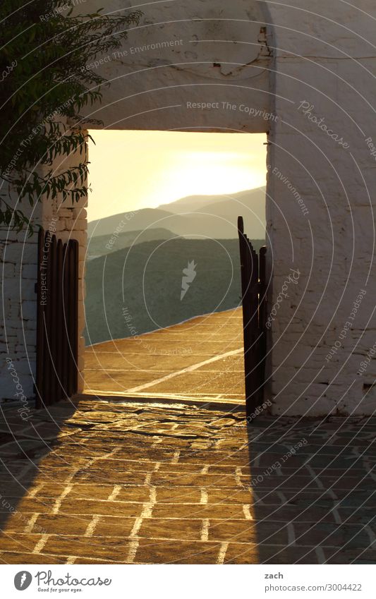 Into the light Sunrise Sunset Tree Hill Ocean Mediterranean sea Aegean Sea Island Folegandros Cyclades Greece Village Old town Church Gate Wall (barrier)