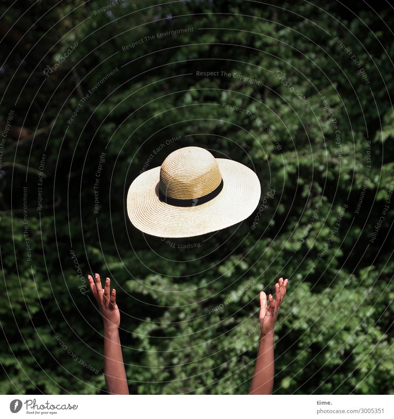 summer in the park Feminine Woman Adults Arm Hand 1 Human being Environment Nature Beautiful weather Park Forest Hat Relaxation Catch Flying Free Happiness Joy