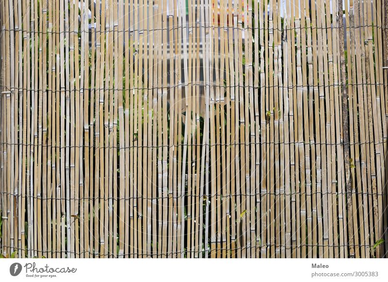 bamboo fence Fence Wire Bamboo stick Branch Brown Design Detail Garden Nature Natural Pattern Rough Stick Tradition Wood Abstract Barrier Wooden board Bushes