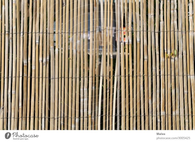 bamboo fence Fence Wire Bamboo stick Branch Brown Design Detail Garden Nature Pattern Rough Stick Tradition Wood Abstract Barrier board Match Blade of grass