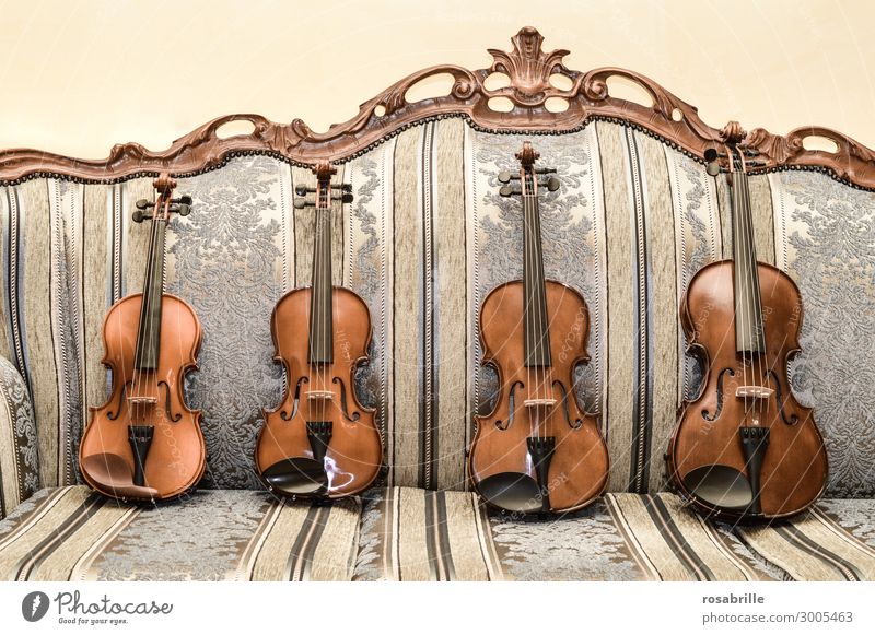 Violins are valuable. Elegant Leisure and hobbies Sofa Living room Music Education Musician Orchestra Collection Playing Old Brown Diligent Interest