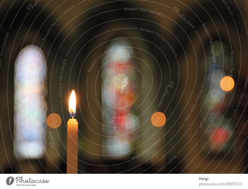 Close-up of a burning candle with church windows as Bokeh Church Wall (barrier) Wall (building) Window Church window shoulder stand Sign Glittering Illuminate