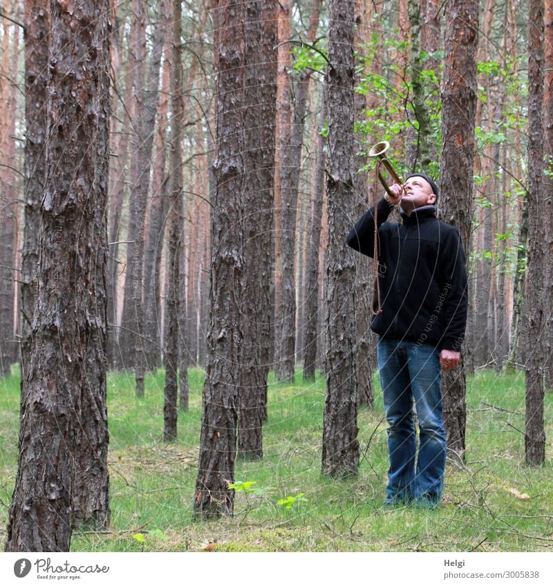 a man in jeans and a black jacket is standing in a spruce forest blowing a trumpet Human being Masculine Man Adults 1 45 - 60 years Environment Nature Landscape