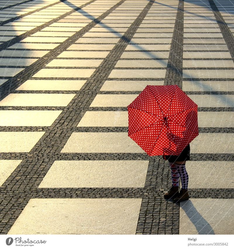 Female person stands with a red and white dotted umbrella and patterned stockings on a large paved square in the back light Human being Feminine Woman Adults