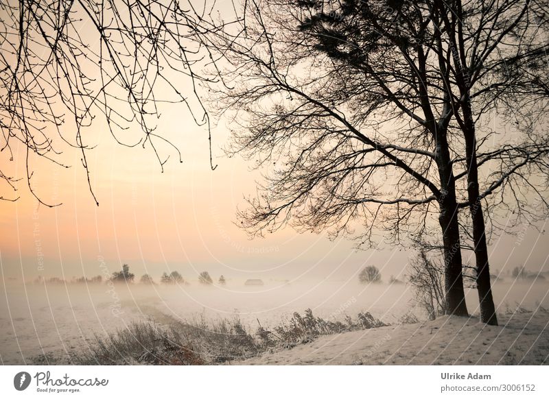 Winter in the Devil's Moor Wellness Wallpaper mourning card Nature Landscape Sunrise Sunset Beautiful weather Fog Ice Frost Snow Forest Bog Marsh Illuminate