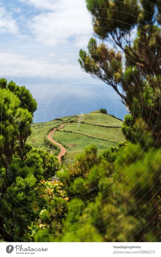 Green hilly landscape and sea on the island of Soa Jorge, Azores Vacation & Travel Tourism Trip Adventure Far-off places Freedom Expedition Environment Nature