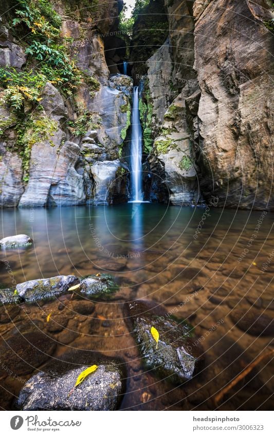 Picturesque waterfall with crystal clear water & foliage, Azores Environment Nature Landscape Plant Elements Water Summer Autumn Virgin forest Rock Canyon