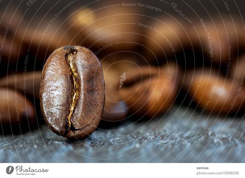 Macro shot: One coffee bean standing upright Coffee bean Food To have a coffee Organic produce Hot drink Latte macchiato Espresso Fragrance Brown Gray Aromatic