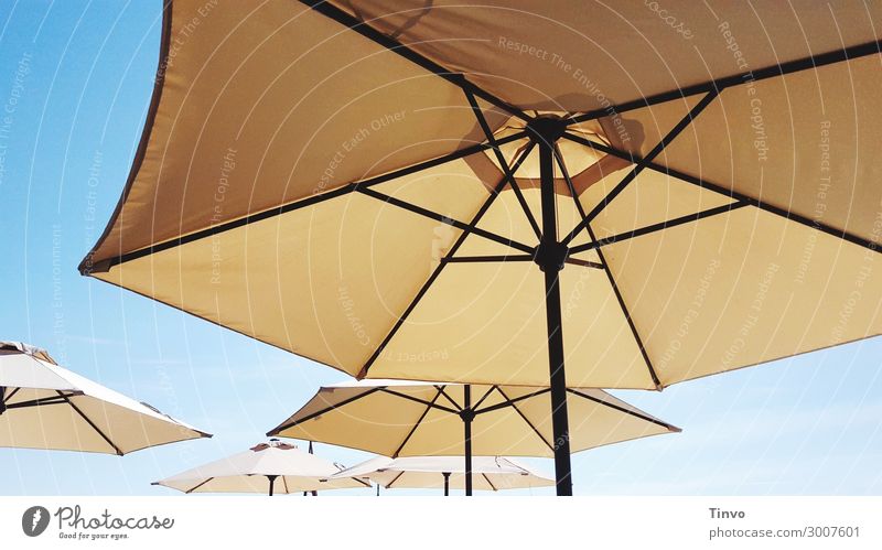 beige parasols against blue sky Cloudless sky Sunlight Summer Climate Climate change Beautiful weather Protection Vacation & Travel Sunshade Weather protection