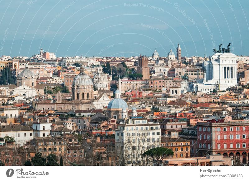 la cittá eterna - bella vista / View from one of the 7 hills Vacation & Travel Tourism Trip Sightseeing City trip Rome Capital city Old town Skyline Church Dome
