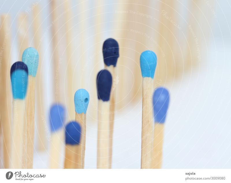 blue company Human being Androgynous Crowd of people Match Wood Stand Together Blue Safety Protection Friendship Team Fence Equal Blue tone Blue gradation