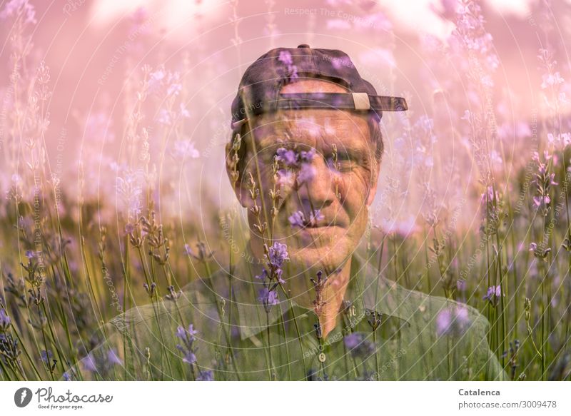 Double exposure; man face and lavender Masculine 1 Human being Landscape Plant Summer Flower Grass Leaf Blossom Lavender Garden Cap Blossoming Fragrance pretty