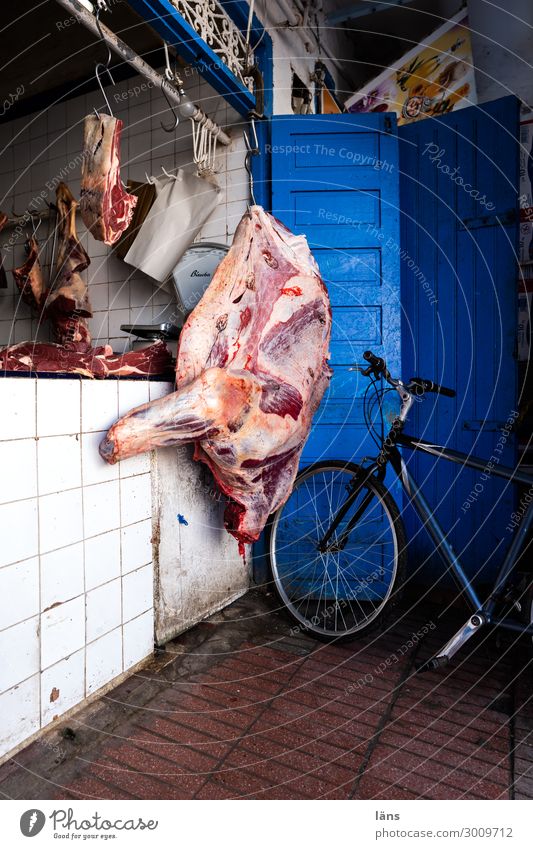 Meat counter l point of sale Food Nutrition Essaouira Morocco Africa House (Residential Structure) Hang Exceptional Blue Trade Transience Bicycle Butcher