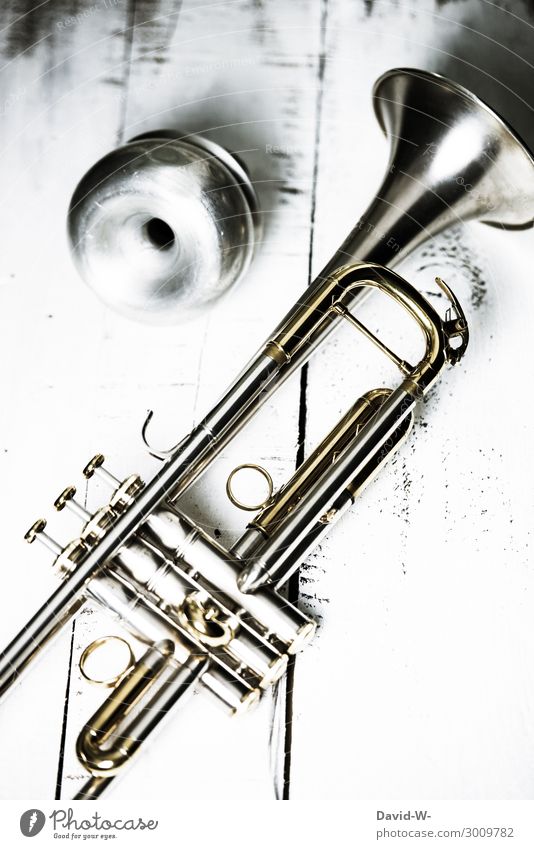 Trumpet with damper Lifestyle Elegant Style Design Leisure and hobbies Playing Education School Study Success Art Artist Work of art Culture Music