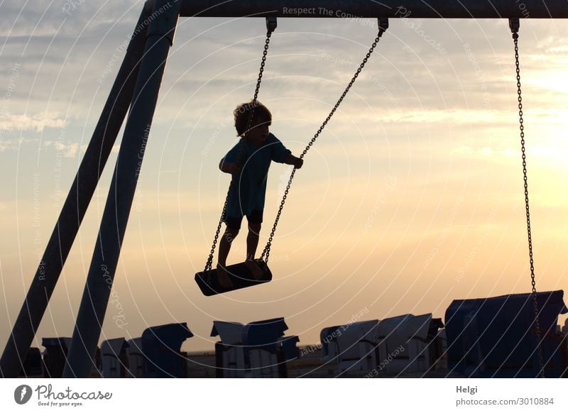 Silhouette of a little boy rocking standing in the evening sun against the light Playing To swing Vacation & Travel Summer Summer vacation Beach Human being