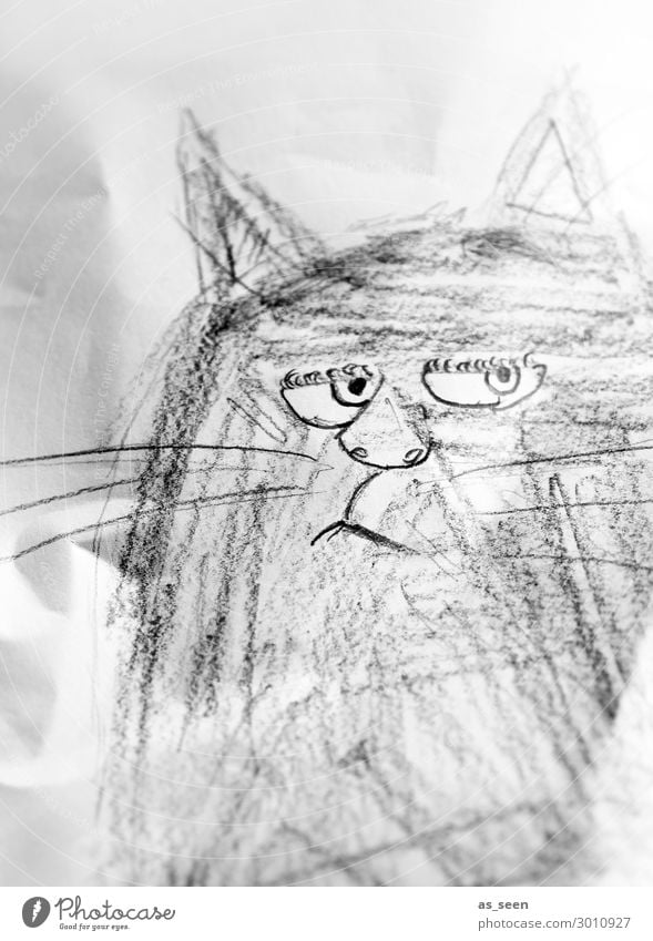 Grumpy Cat Draw Animal face Stationery Paper Piece of paper Pen Looking Authentic Brash Uniqueness Astute Funny Rebellious Gray Black White Emotions Moody