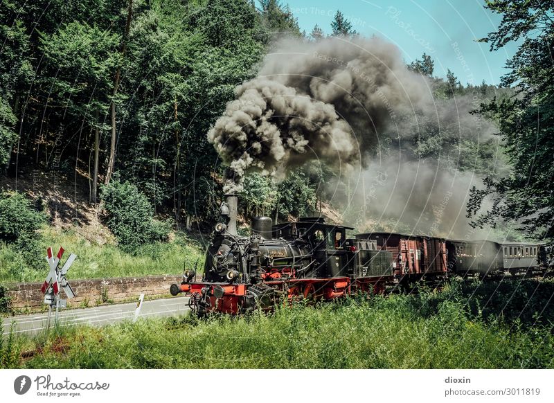 I hear the train a comin' Technology Nature Landscape Sky Cloudless sky Summer Tree Grass Forest Mountain Palatinate forest Transport Means of transport
