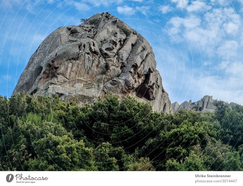 stone giants Environment Nature Landscape Plant Sky Clouds Spring Beautiful weather Bushes Rock Italy Sardinia Exceptional Large Natural Power Vacation & Travel