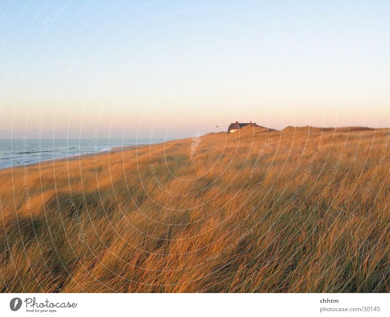 House in the dunes Sylt Dusk November Ocean Loneliness Beach dune North Sea Far-off places