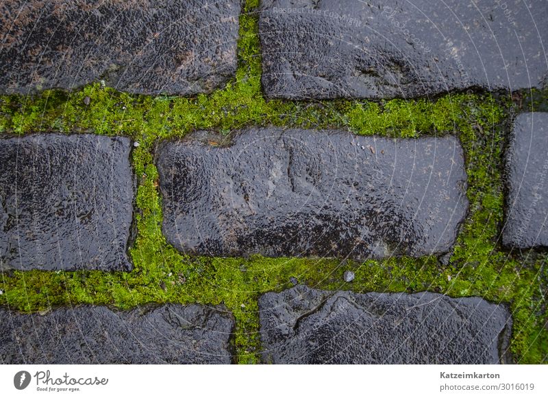 Wet Stones and Moss - Background Earth Wall (barrier) Wall (building) Street Lanes & trails Natural Gray Green Simple Sidewalk Floor covering Background picture