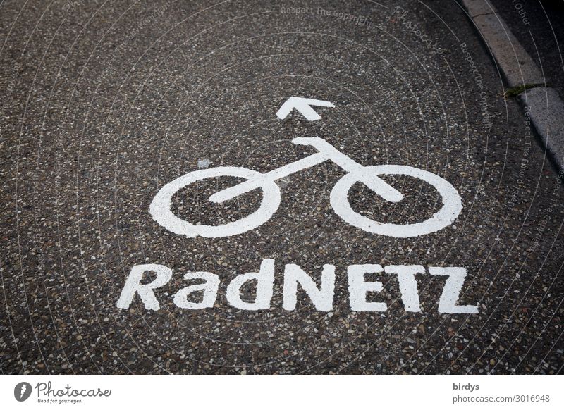 cycle paths Cycling Transport Traffic infrastructure Street Road sign Cycle path Bicycle Sign Characters Arrow Authentic Sustainability Positive Gray White