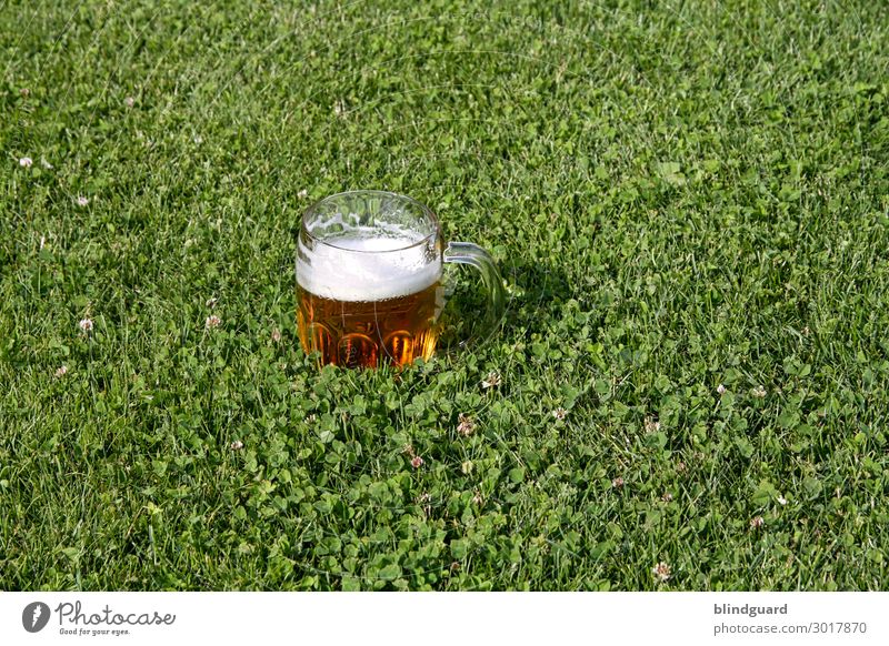 Cheers Food Breakfast Lunch Dinner Beverage Beer Glass Happy Party Event Going out Feasts & Celebrations Drinking Oktoberfest Wedding Gastronomy Plant Grass