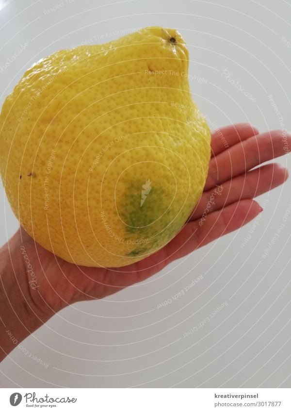 lemon Fruit Lemon Hand Fingers Sour Yellow Day Fruity Fruit sugar Lemon yellow citric acid Lemon peel sour makes fun lemon yellow fruit Biological fruit photo