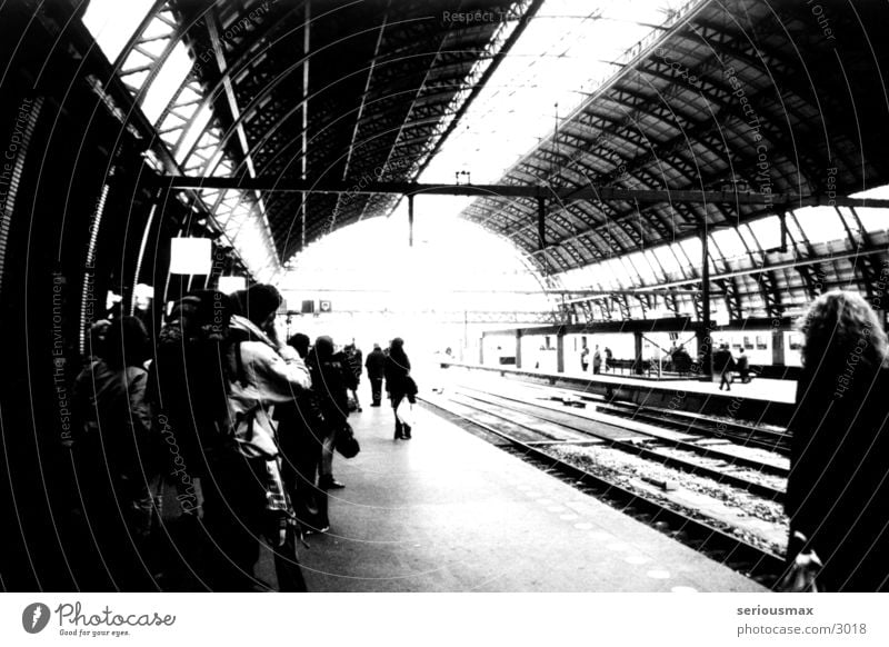 Amsterdam station Railroad tracks Passenger Black White Suitcase Train station Vacation & Travel