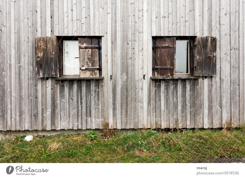 But adorned with love Wall (barrier) Wall (building) Window Wooden wall Shutter Old Together Brown Green Weathered Meadow Vertical Symmetry Idyll Shabby
